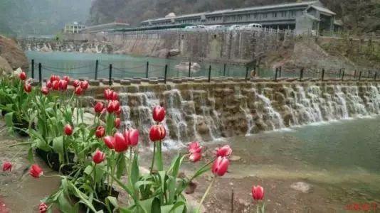美发沙龙设计师
